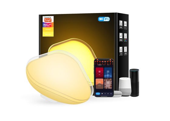 FCC デスクトップ・大気光 10W 調節可能な明るさ ポータブル